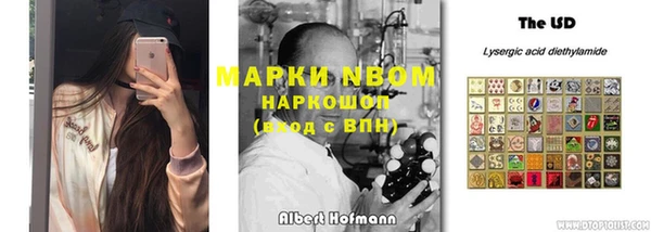 ПСИЛОЦИБИНОВЫЕ ГРИБЫ Алексеевка